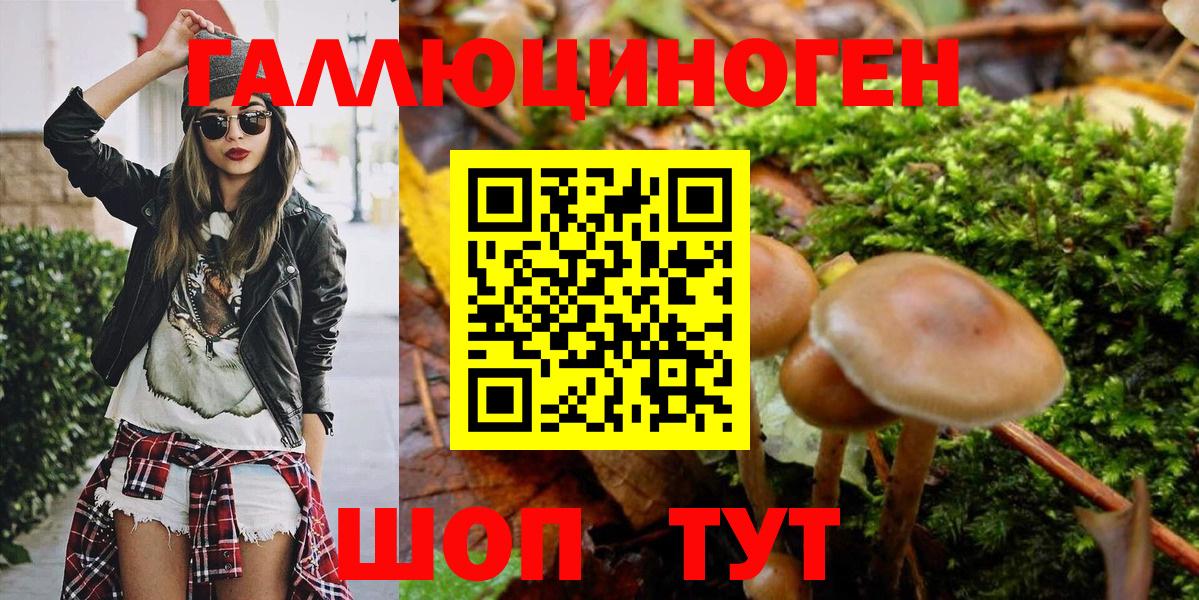 купить  сайты  Вход с VPN  Нерюнгри  Галлюциногенные грибы Psilocybe  Галлюциногенные грибы мухоморы 
