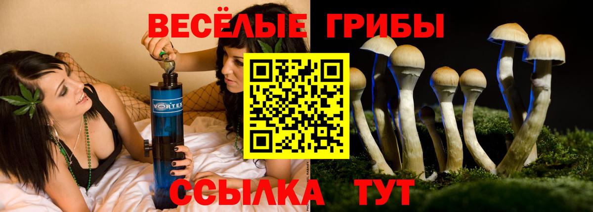 Псилоцибиновые грибы Cubensis Нерюнгри